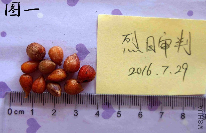 DSCN6070_����.jpg