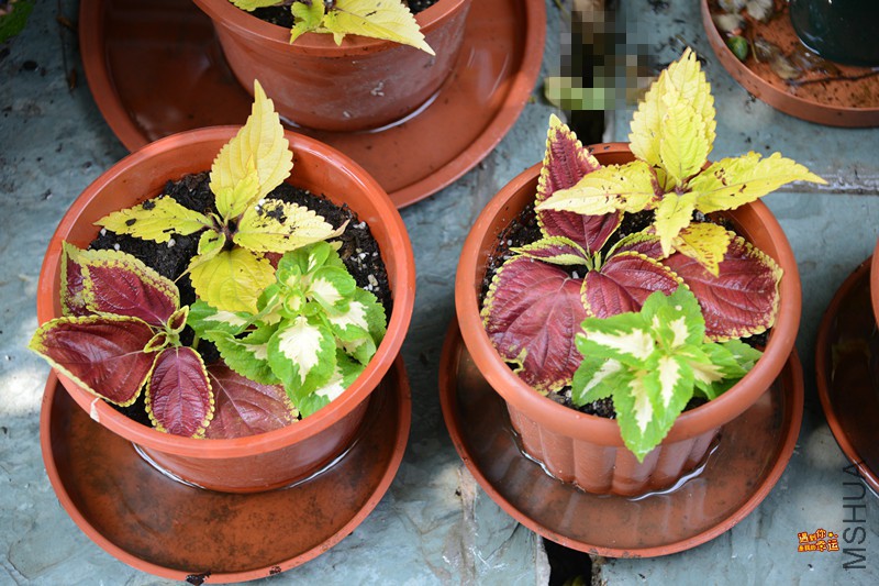 ��Ƭ 075_����.jpg