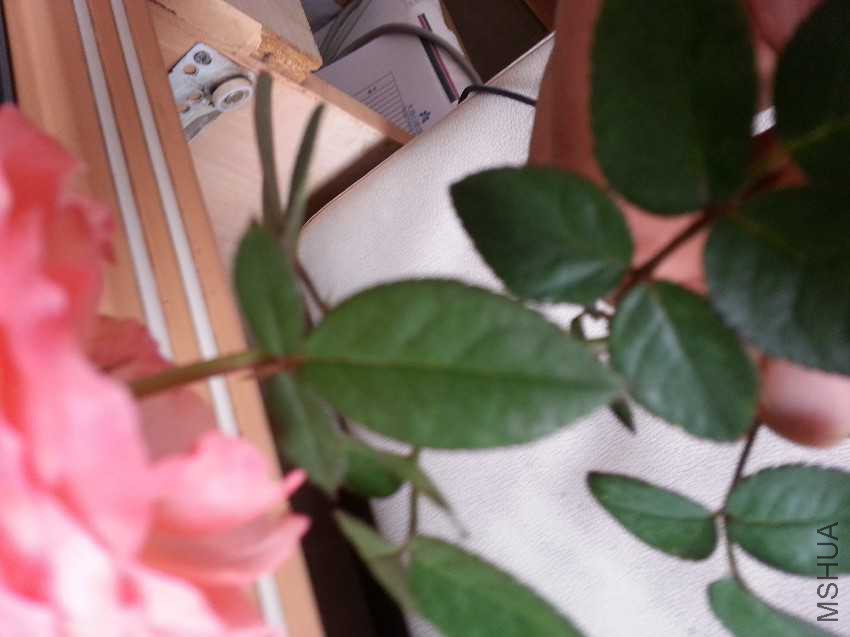 2016-07-30_11.17.05.jpg