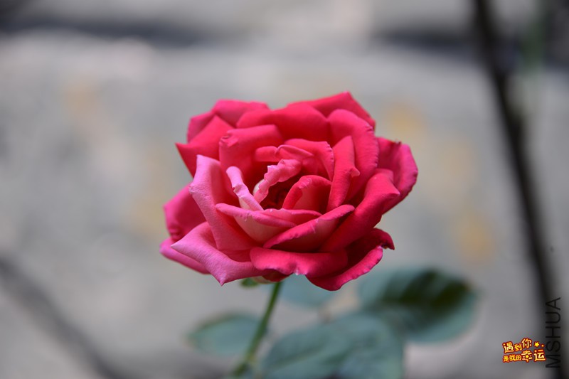 ��Ƭ 087_����.jpg