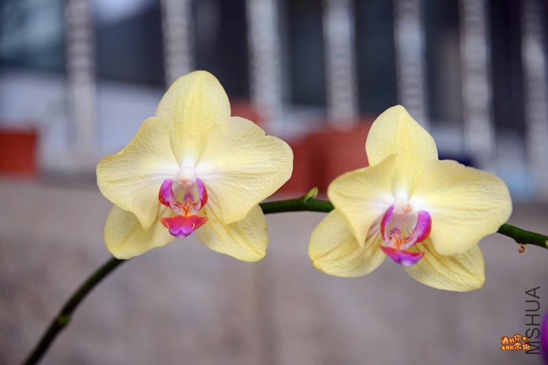 ��Ƭ 119_����.jpg