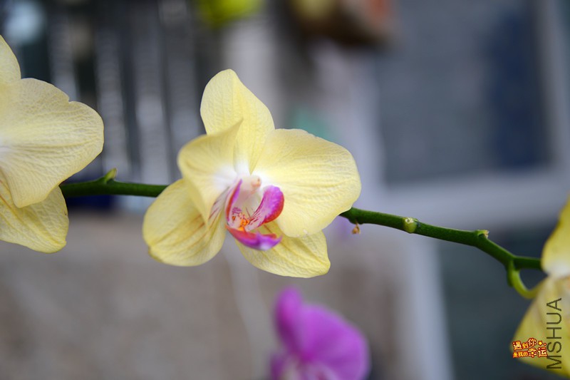 ��Ƭ 120_����.jpg