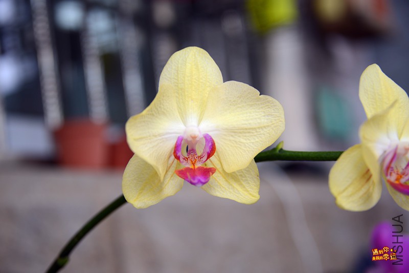 ��Ƭ 121_����.jpg