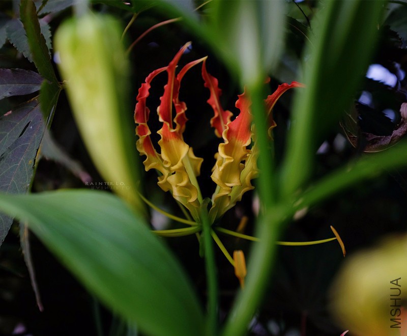 DSCF1788.JPG