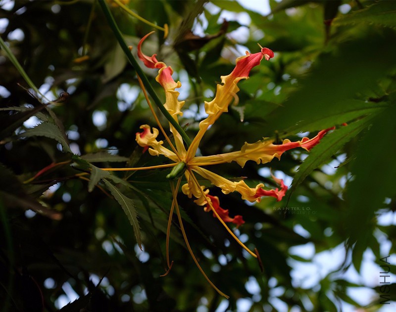 DSCF1793.JPG