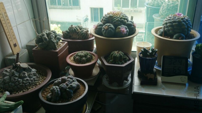 QQͼƬ20160731101107.jpg