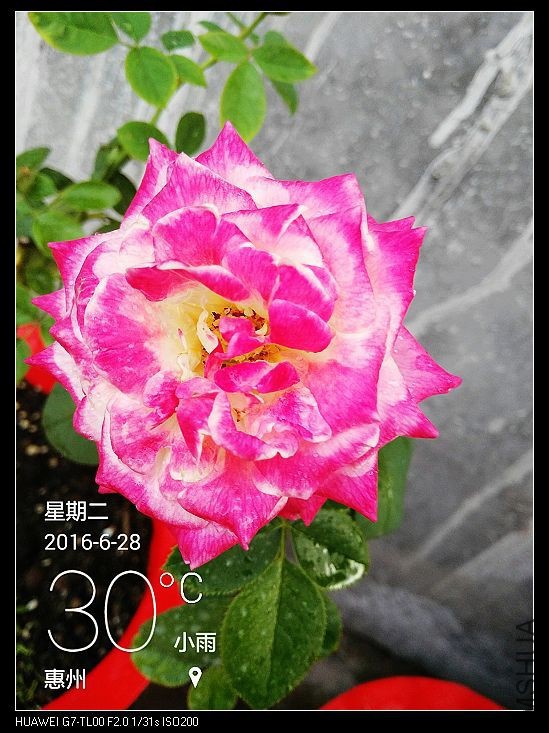 nEO_IMG_IMG_20160628_184628.jpg