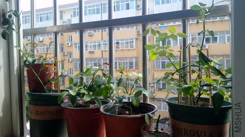 20160727_03.jpg