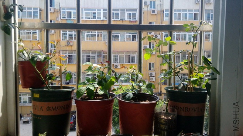 20160727_04.jpg