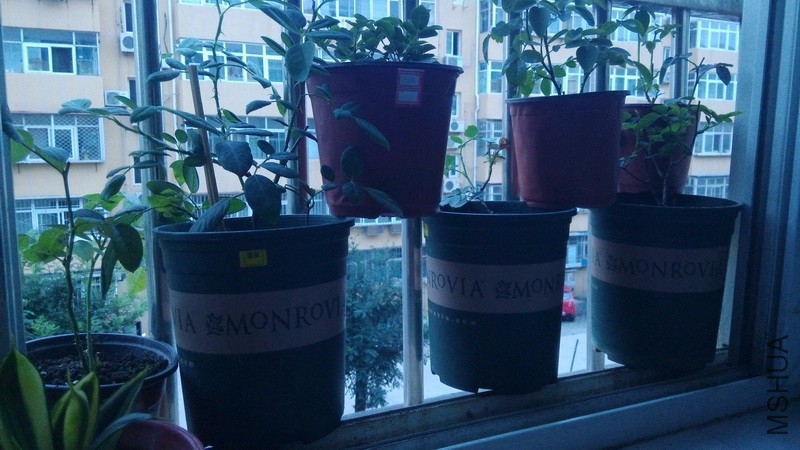 20160727_05.jpg