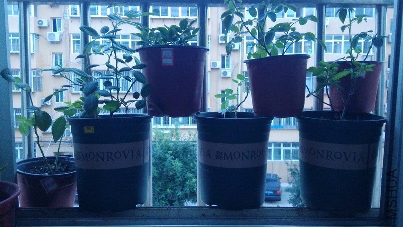 20160727_06.jpg