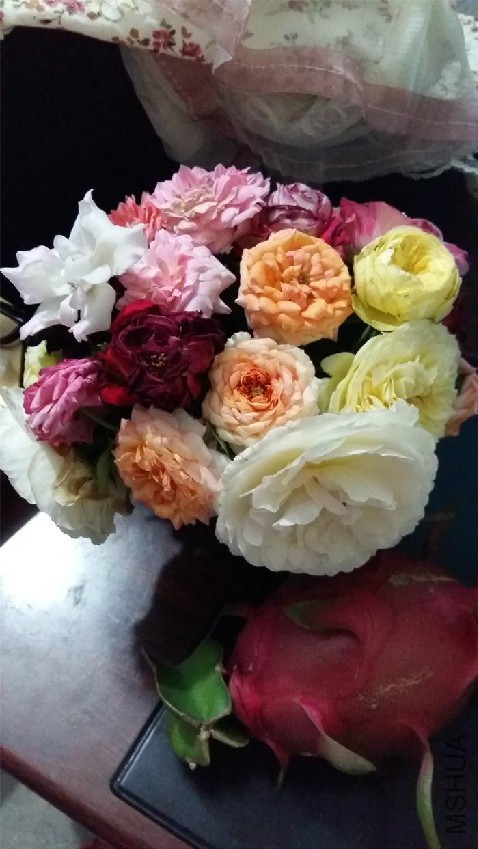 20160801_222725.jpg