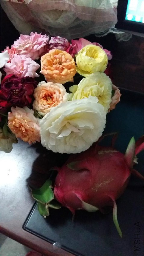 20160801_222722.jpg