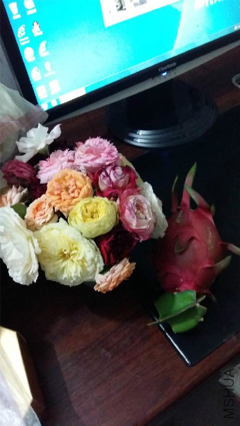 20160801_222658.jpg