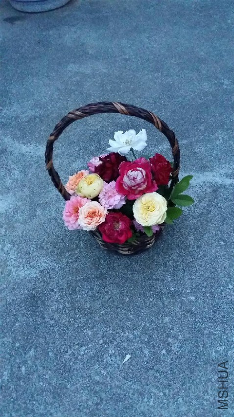20160801_193140.jpg