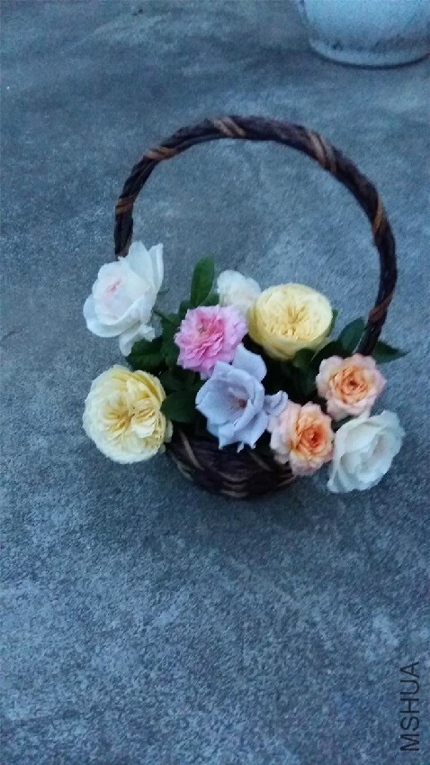 20160730_193545.jpg