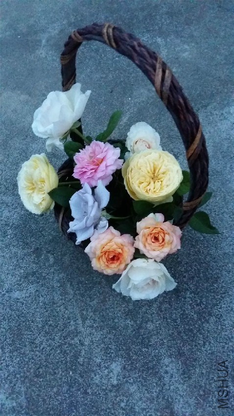 20160730_193529.jpg