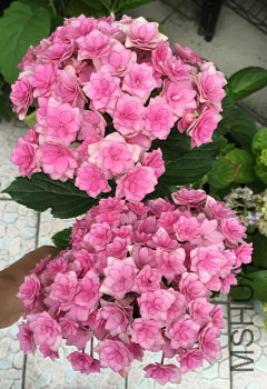 �����һ��2.png