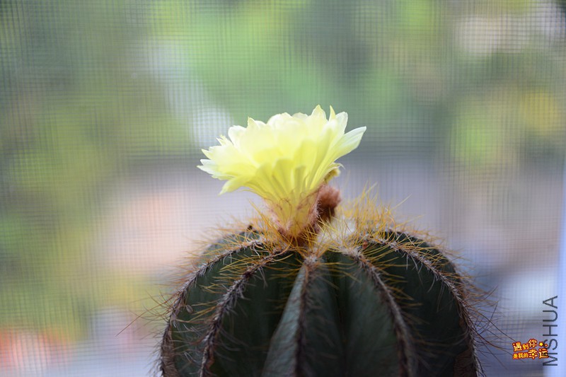 ��Ƭ 012_����.jpg