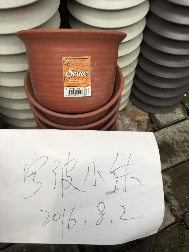 QQͼƬ20160802222845.jpg