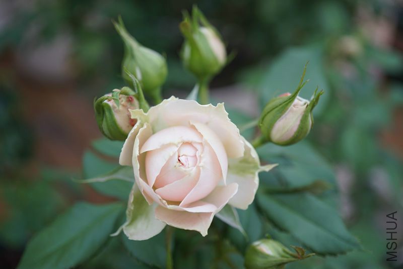 DSC01374.JPG