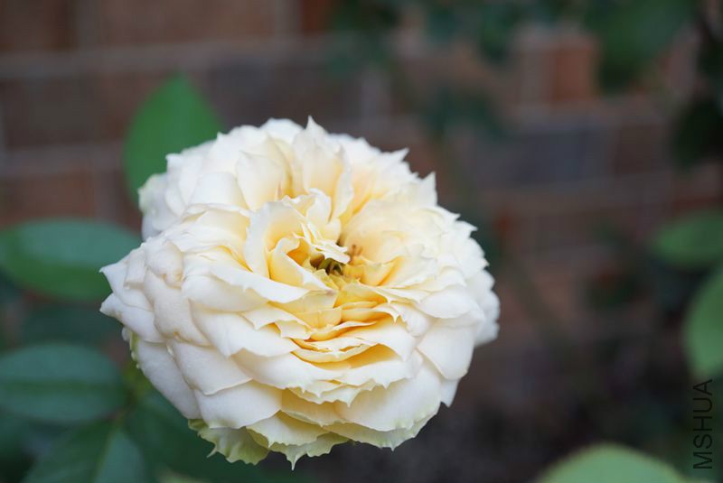 DSC01379.JPG