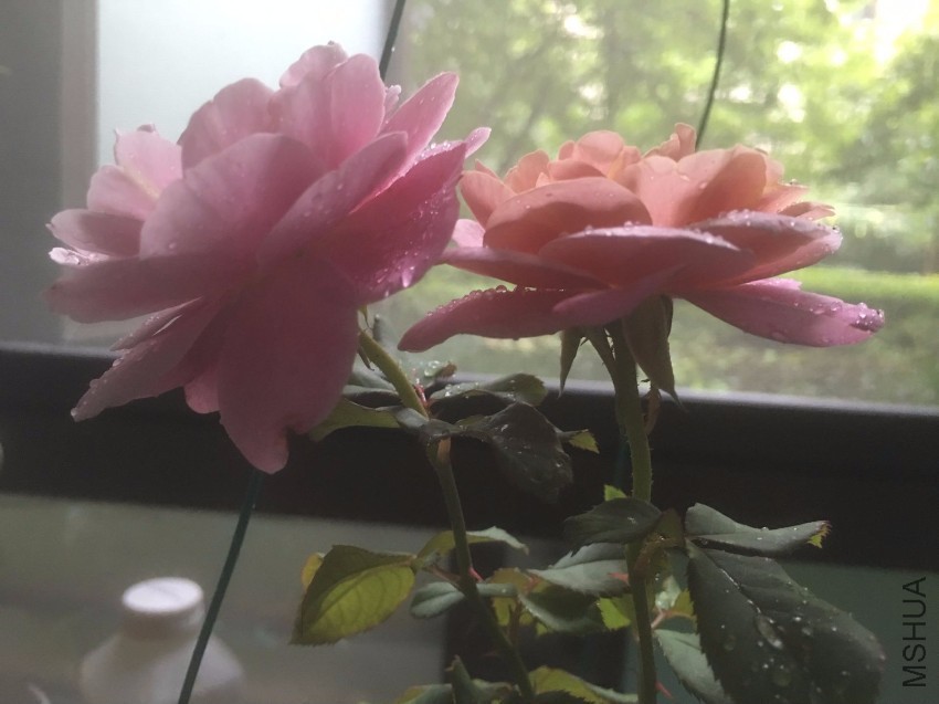 QQͼƬ20160803211943.jpg