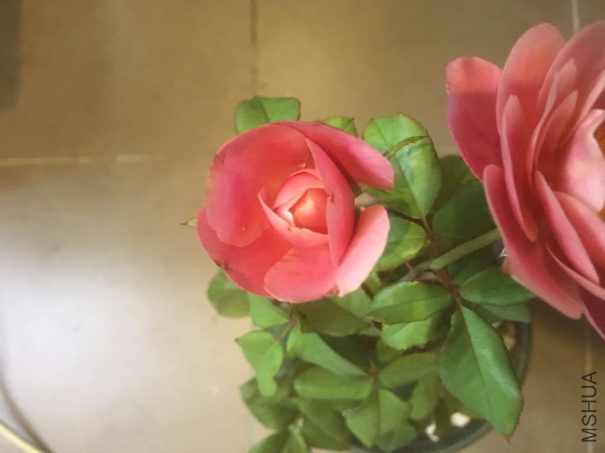 QQͼƬ20160803212010.jpg