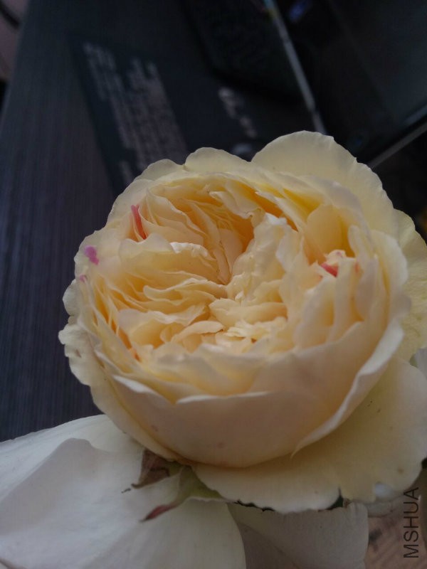 78d58b78245c5b05.jpg