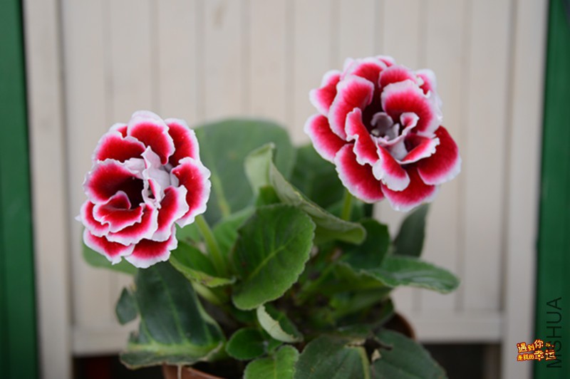 ��Ƭ 123_����.jpg