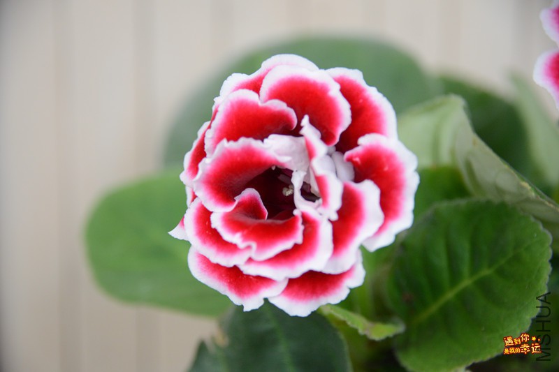 ��Ƭ 124_����.jpg