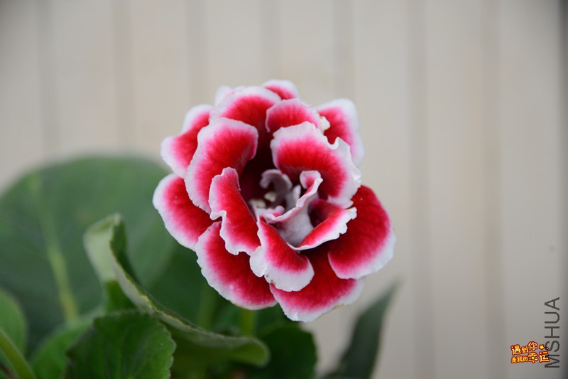 ��Ƭ 125_����.jpg