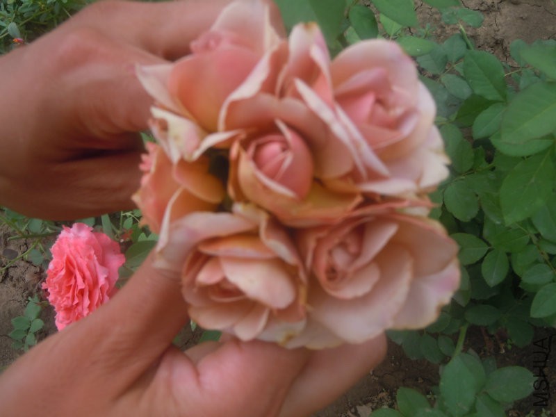 DSCN8982.JPG