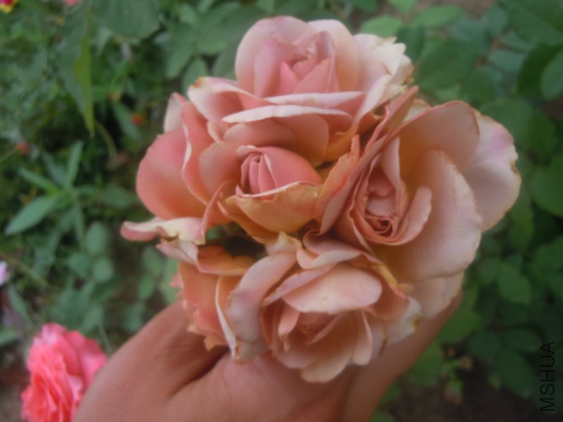 DSCN8983.JPG