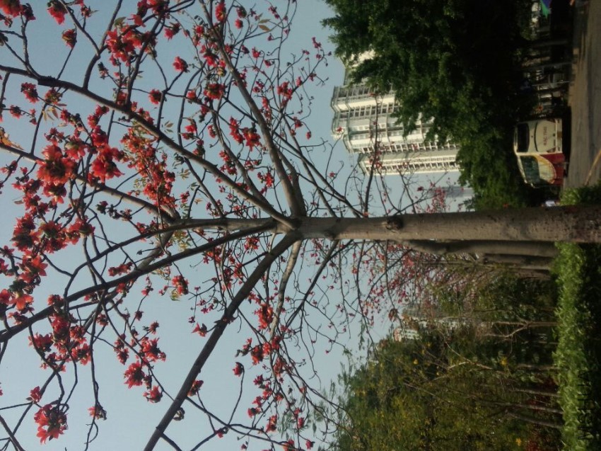 QQͼƬ20160806110232.jpg