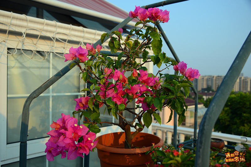 ��Ƭ 028_����.jpg