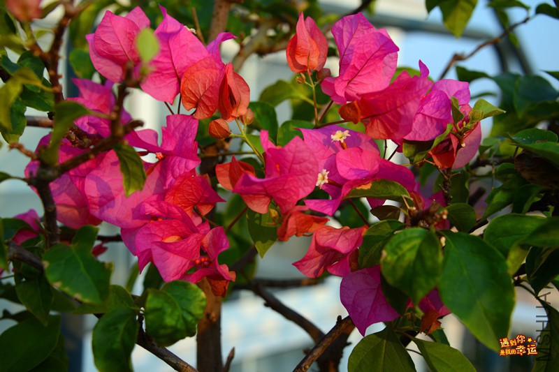 ��Ƭ 030_����.jpg