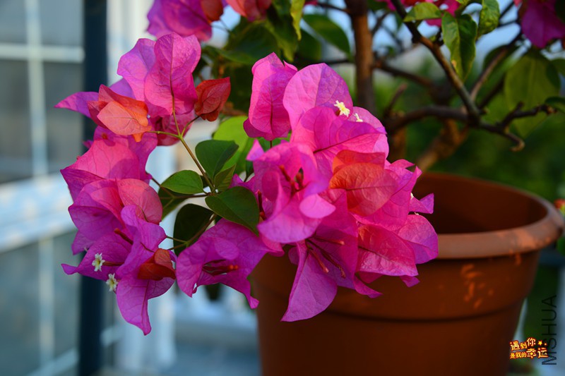 ��Ƭ 032_����.jpg