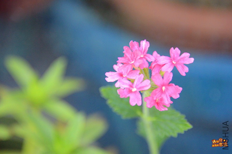 ��Ƭ 005_����.jpg