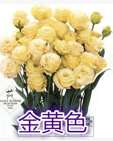 ���񰴹涨.PNG