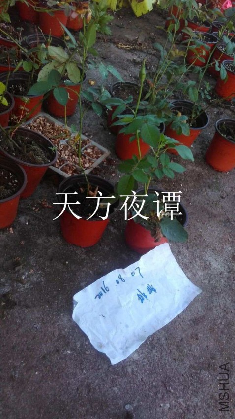 QQͼƬ20160807210747.jpg