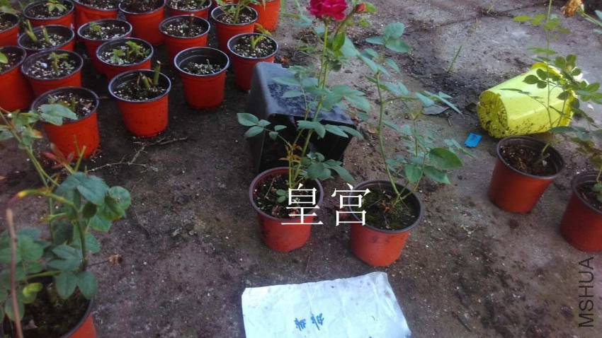 QQͼƬ20160807210751.jpg