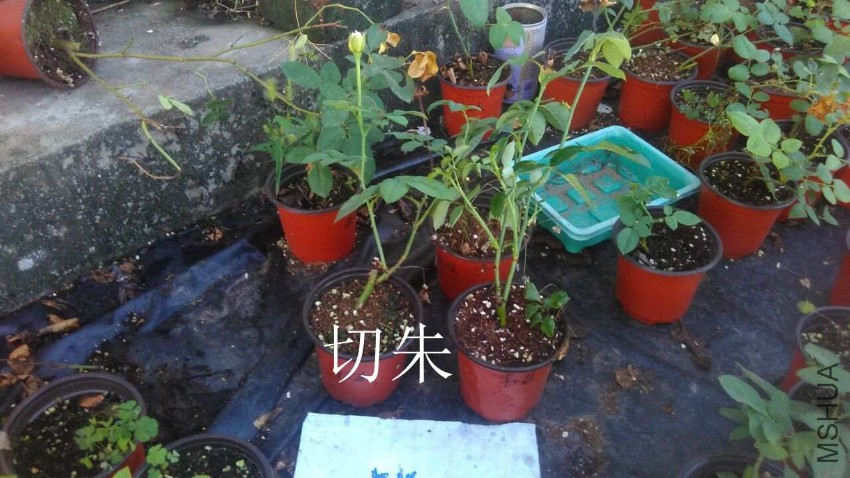 QQͼƬ20160807210801.jpg