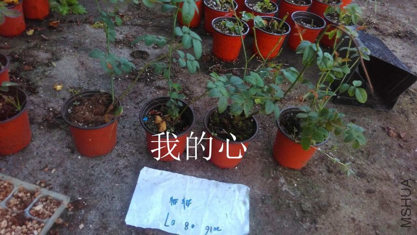 QQͼƬ20160807210758.jpg
