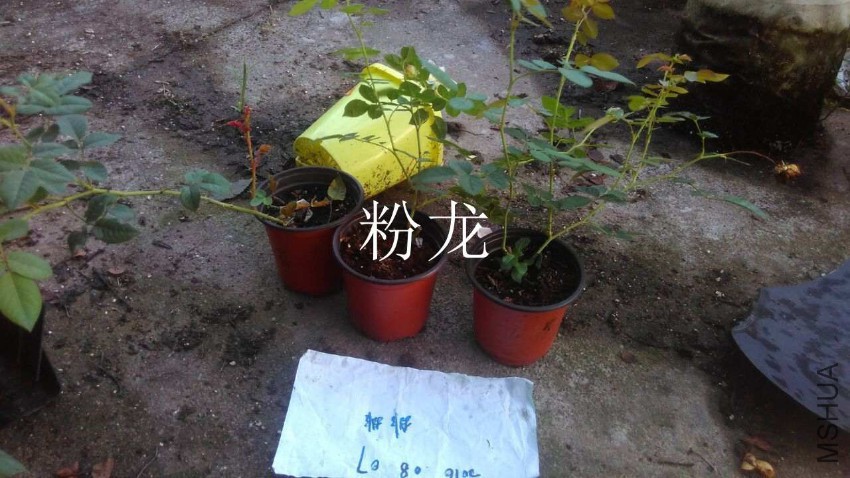 QQͼƬ20160807210755.jpg