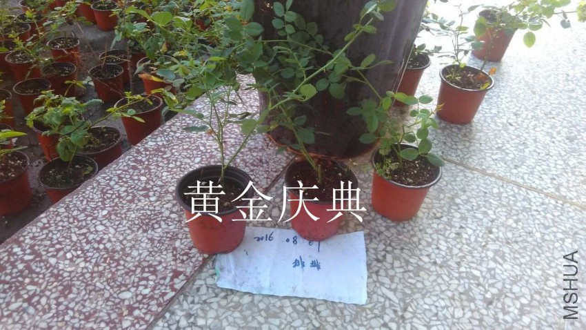 QQͼƬ20160807210846.jpg
