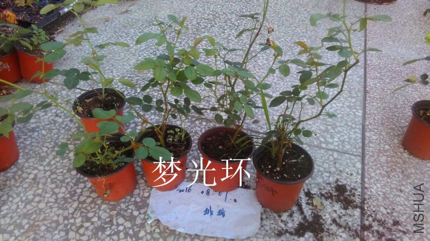 QQͼƬ20160807210853.jpg