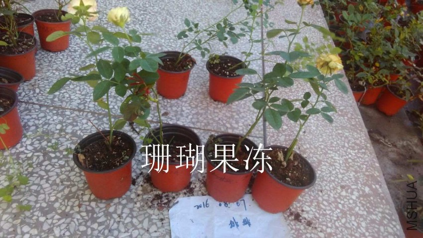 QQͼƬ20160807210850.jpg