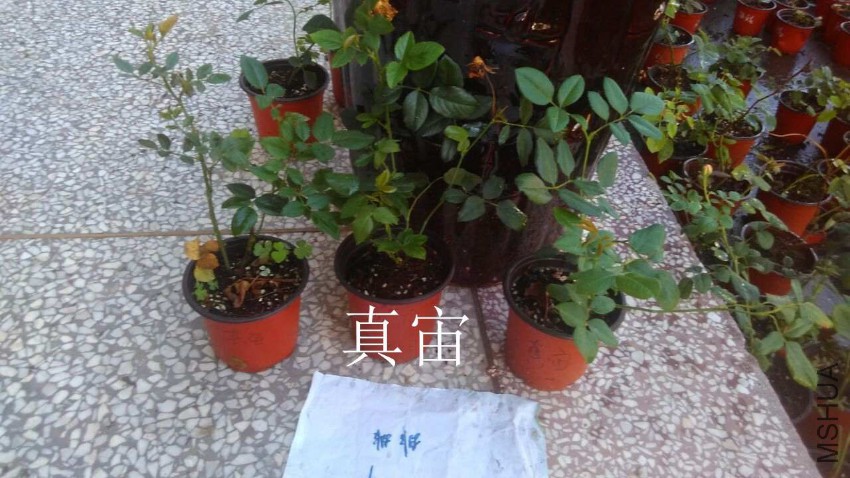 QQͼƬ20160807210843.jpg