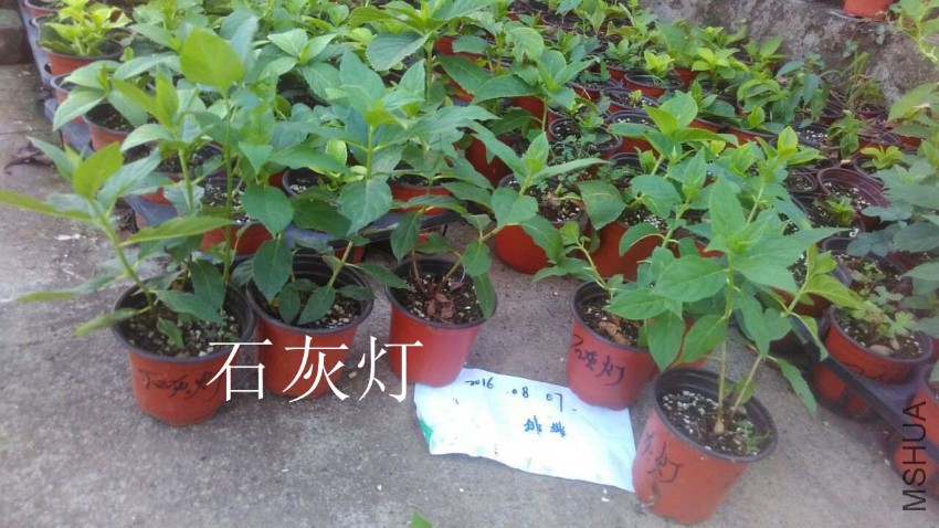 QQͼƬ20160807211649.jpg